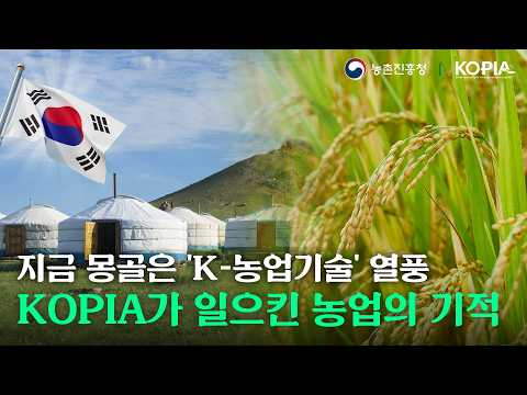 KOPIA 몽골 프로젝트